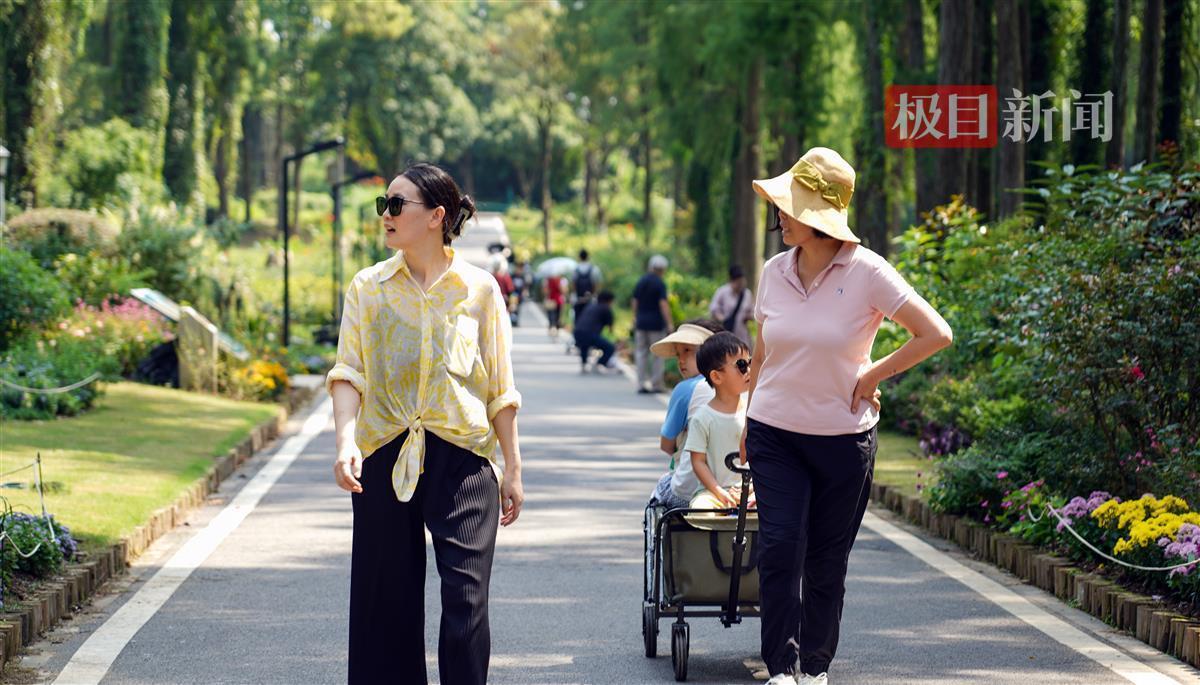 荣一娱乐平台注册